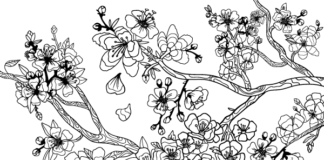 spring in the orchard coloring book to print