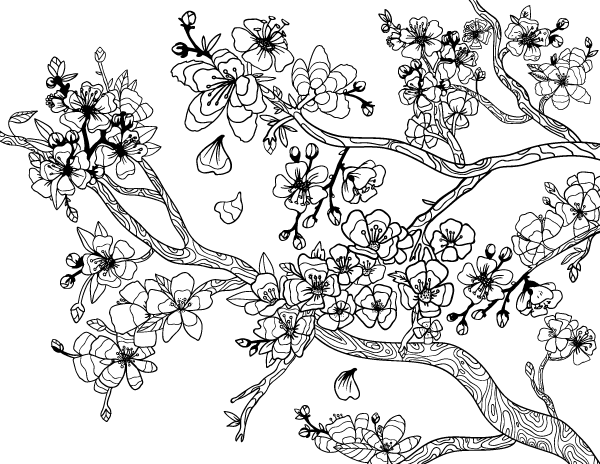 Jaro v sadu - omalovánky k vytisknutí