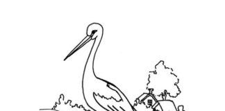 wisona coming stork in the meadow coloring page printable