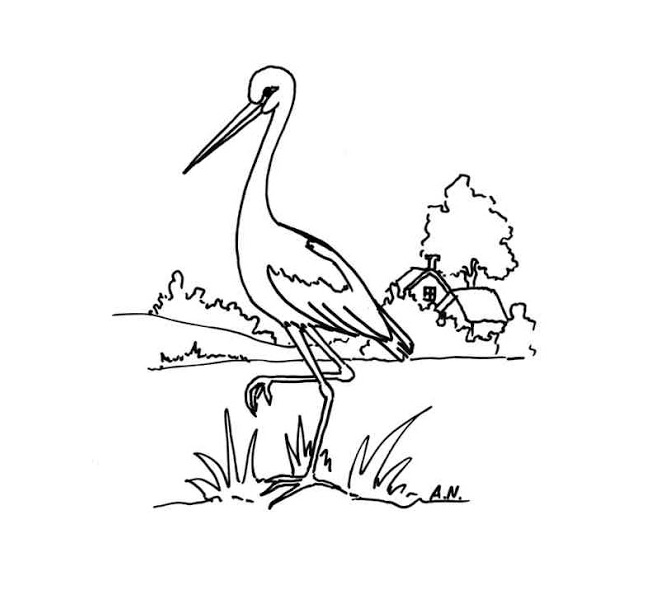 wisona coming stork in the meadow målarbok att skriva ut