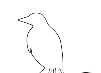dibujo de cuervo hoja para colorear imprimible