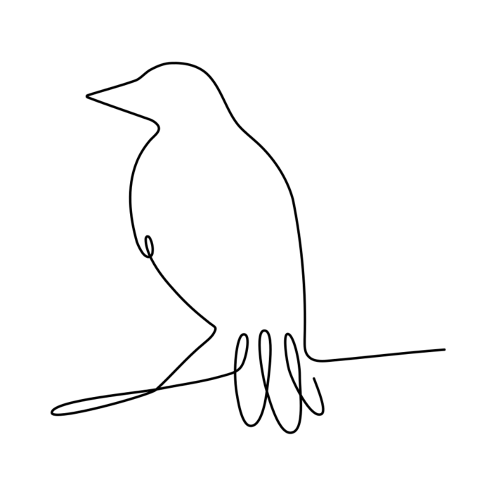 corbeau dessin croquis feuille à colorier à imprimer
