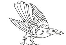 wrona z dużymi skrzydłami kolorowanka do drukowania