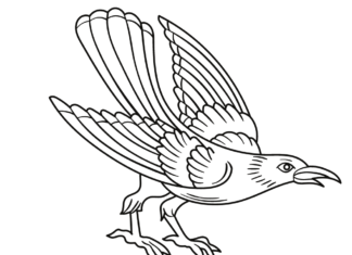 Krähe mit großen Flügeln Malbuch zum Ausdrucken