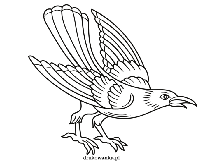 cuervo con grandes alas libro para colorear para imprimir