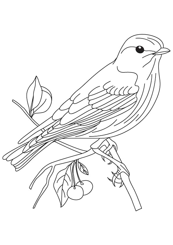 Vrabec na vetve - omaľovánky na vytlačenie