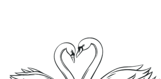 swans in love coloring book to print