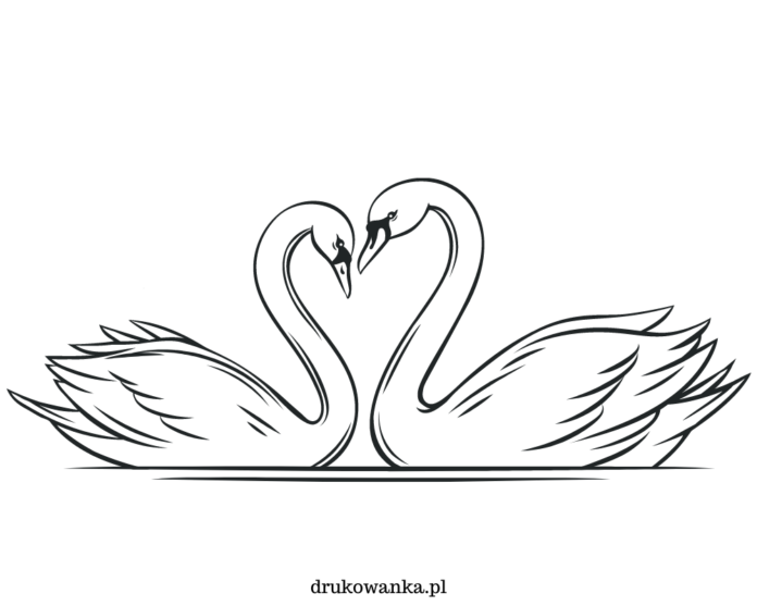 svanar i kärlek färgbok som kan skrivas ut