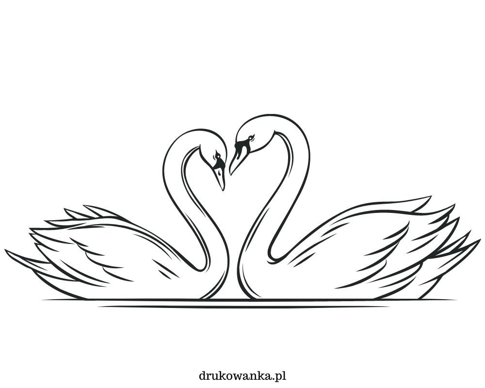 swans in love coloring book to print