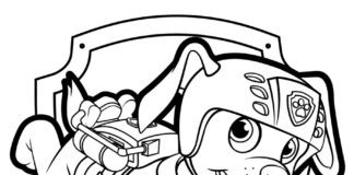 zuma from the cartoon psi patrol coloring book to print
