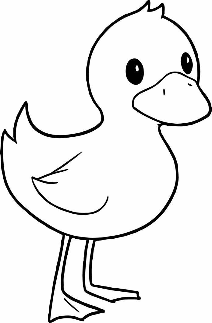golden little duck coloring book to print