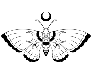 moth in the garden coloring book to print
