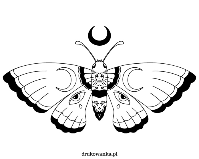 moth in the garden coloring book to print