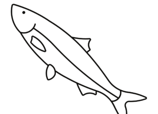 ニシンの海の魚の塗り絵の印刷