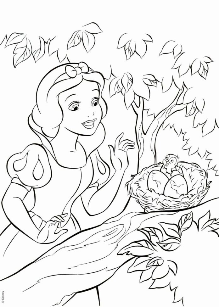 Spící princezna a pták v hnízdě omalovánky k vytisknutí
