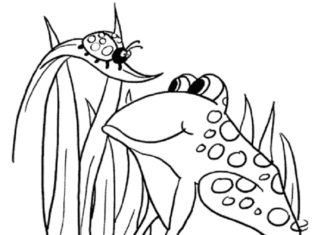 Ladybug and Frog coloring book to print