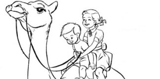 Barn på en kamel som kan skrivas ut och färgläggas
