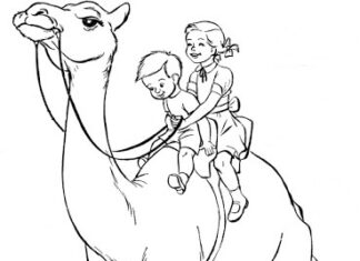 Children on camel coloring book to print
