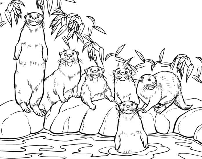 Otter family coloring book to print