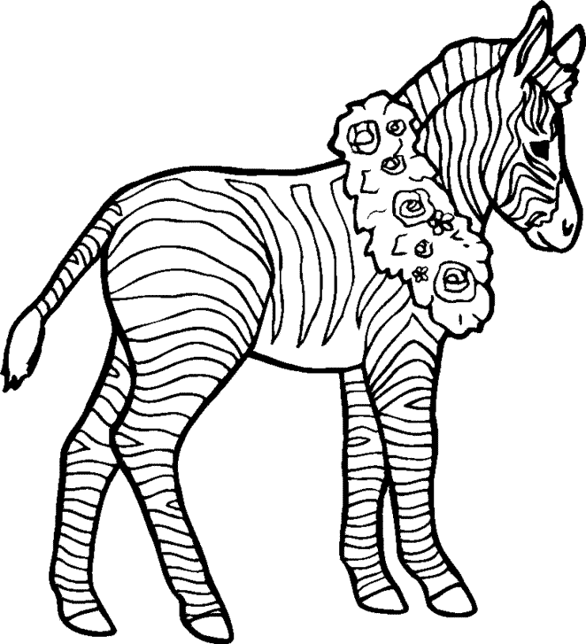 Lille zebra til udskrivning som malebog