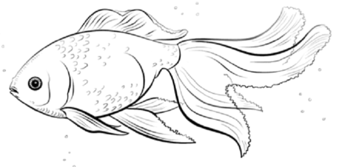 Peixes dourados concedendo desejos de colorir página para impressão