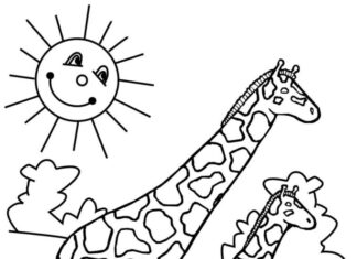 to giraffer til udskrivning