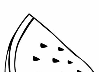 piece watermelon for kids coloring book for kids painting