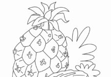 livre de coloriage imprimable sur l'ananas pour les enfants