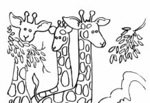 família girafa imprimível