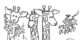 žirafí rodina k vytisknutí