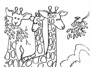 famiglia di giraffe stampabile