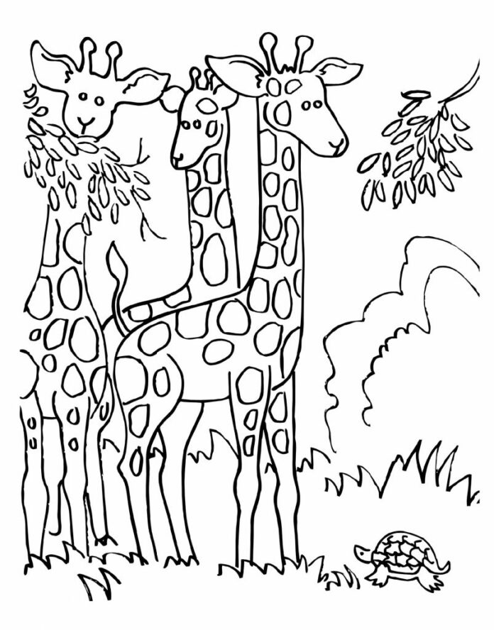 žirafí rodina k vytisknutí