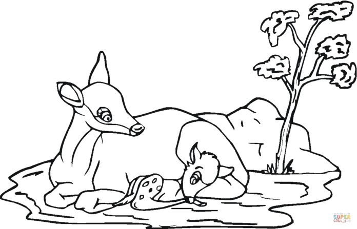 big and little roe deer coloring book to print