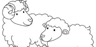 imagen imprimible de dos ovejas