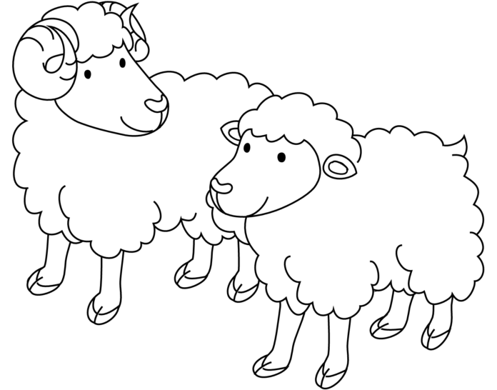 kaksi lammasta tulostettava kuva