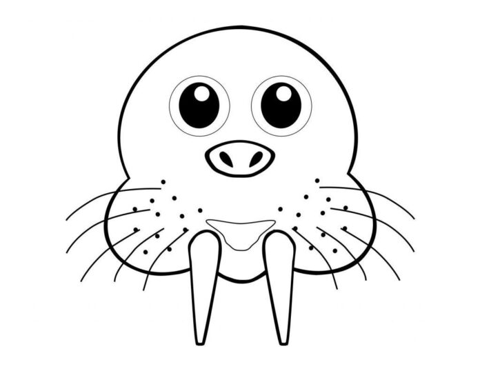 walrus head printable picture