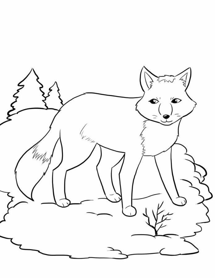 erdei macska a vadászaton nyomtatható kép
