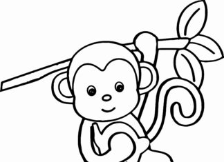 majom a dzsungelben nyomtatható kép