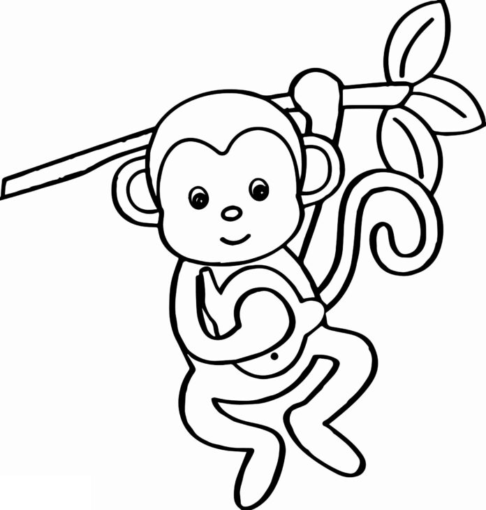 immagine scimmia nella giungla da stampare