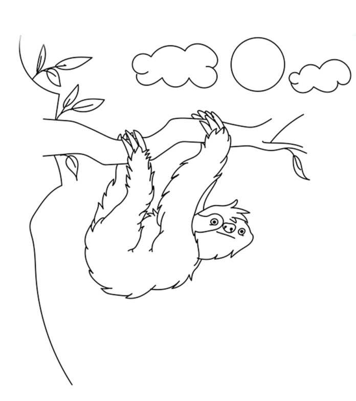 imagen de un oso de peluche en un árbol para imprimir
