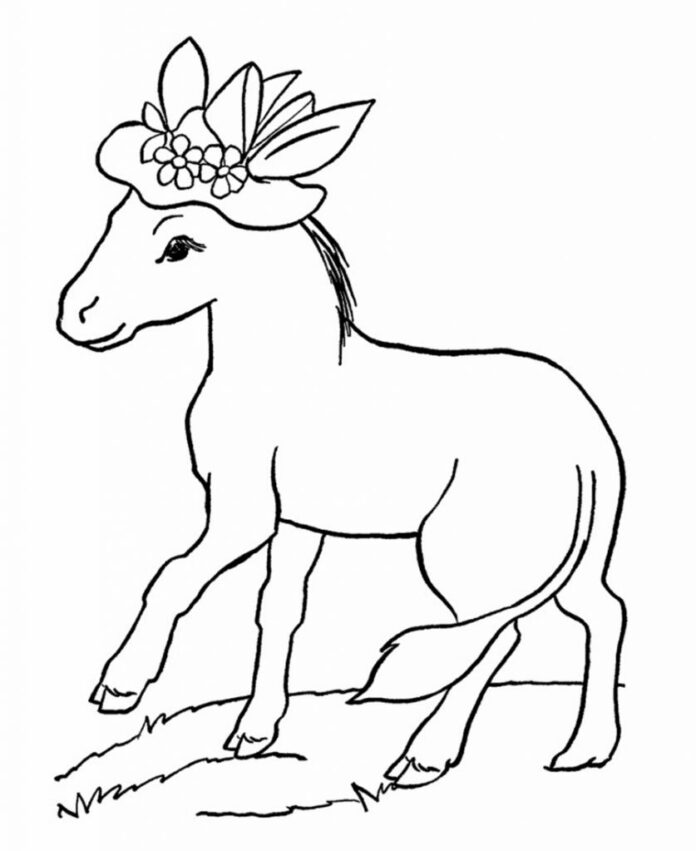 obrázek osla s kloboukem k vytištění