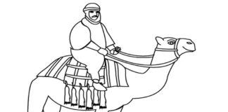 libro para colorear del paseo en camello