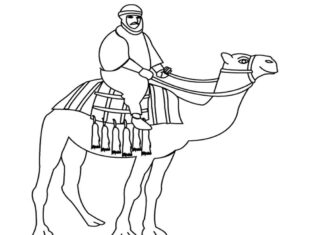 kameltur färgläggningsbok som kan skrivas ut
