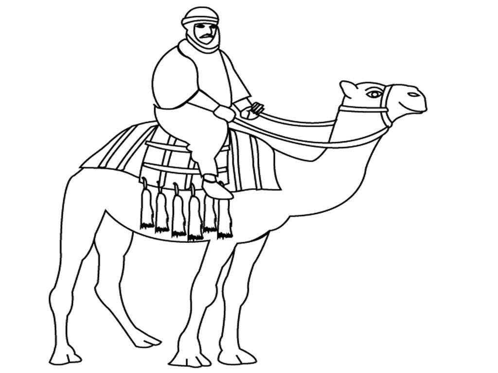 libro da colorare di corse di cammelli stampabile