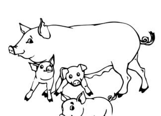 famiglia di maiali da colorare libro da stampare