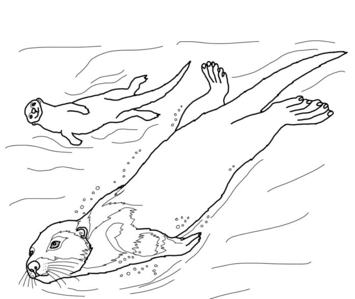 floating otters coloring book to print