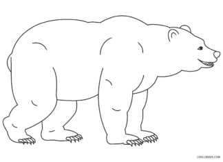 starý medveď obrázok na vytlačenie