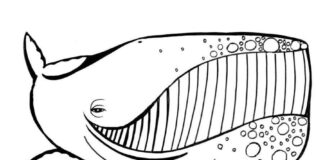 Veselá veľryba na vytlačenie