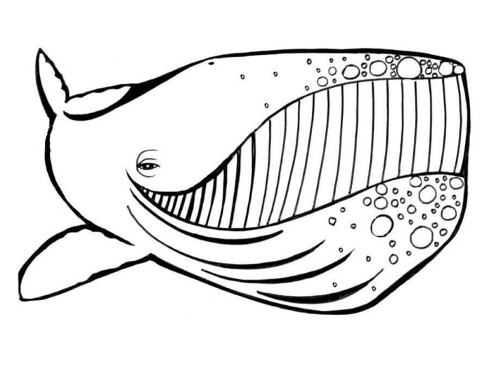 Veselá velryba k vytisknutí omalovánky