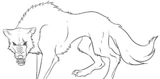 zúrivý vlk omaľovánky k vytlačeniu